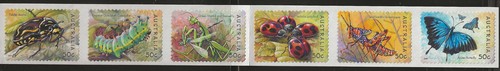 Australien insekten - australien,